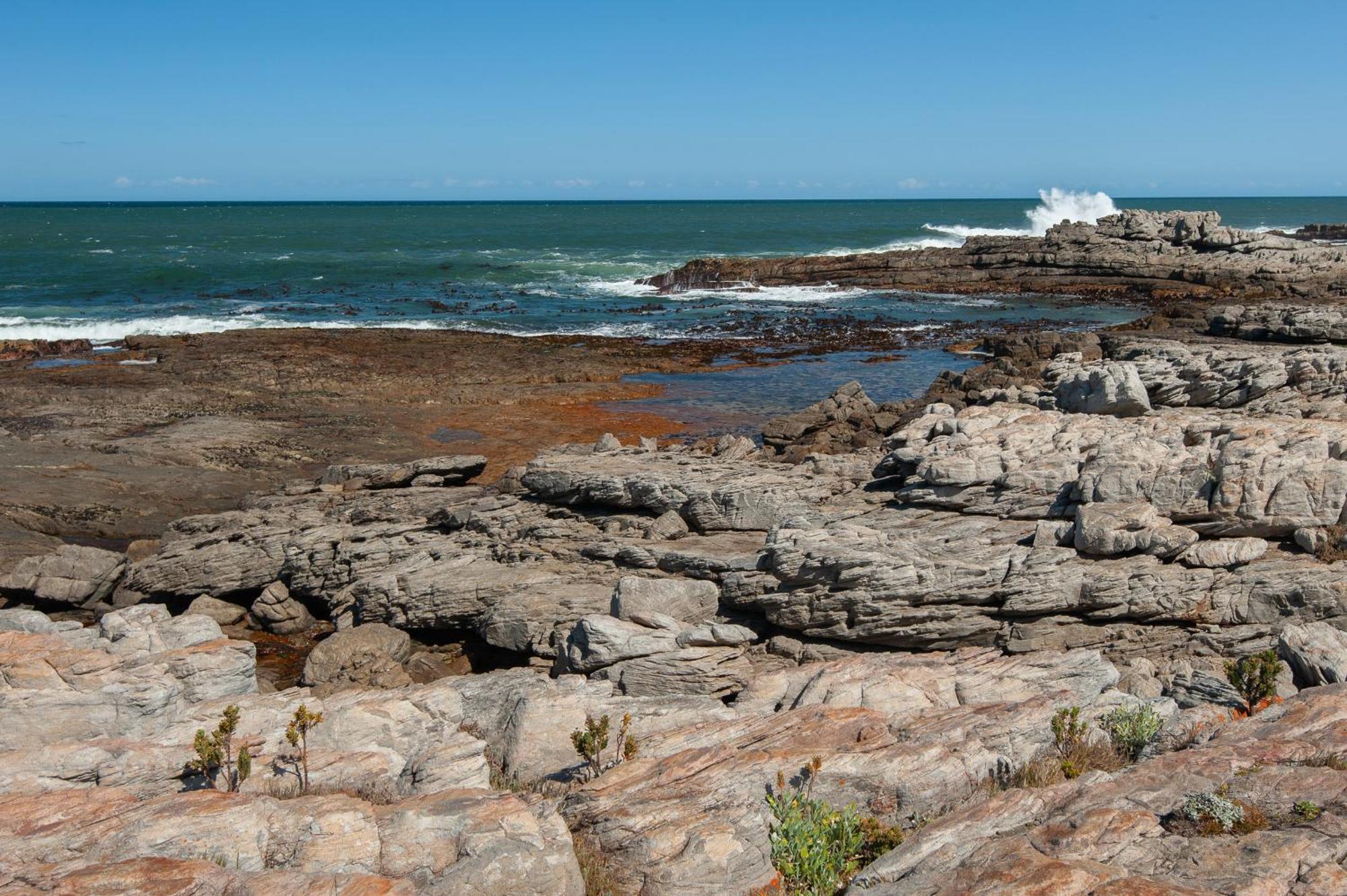 49 Whalerock Apartment Hermanus Luaran gambar
