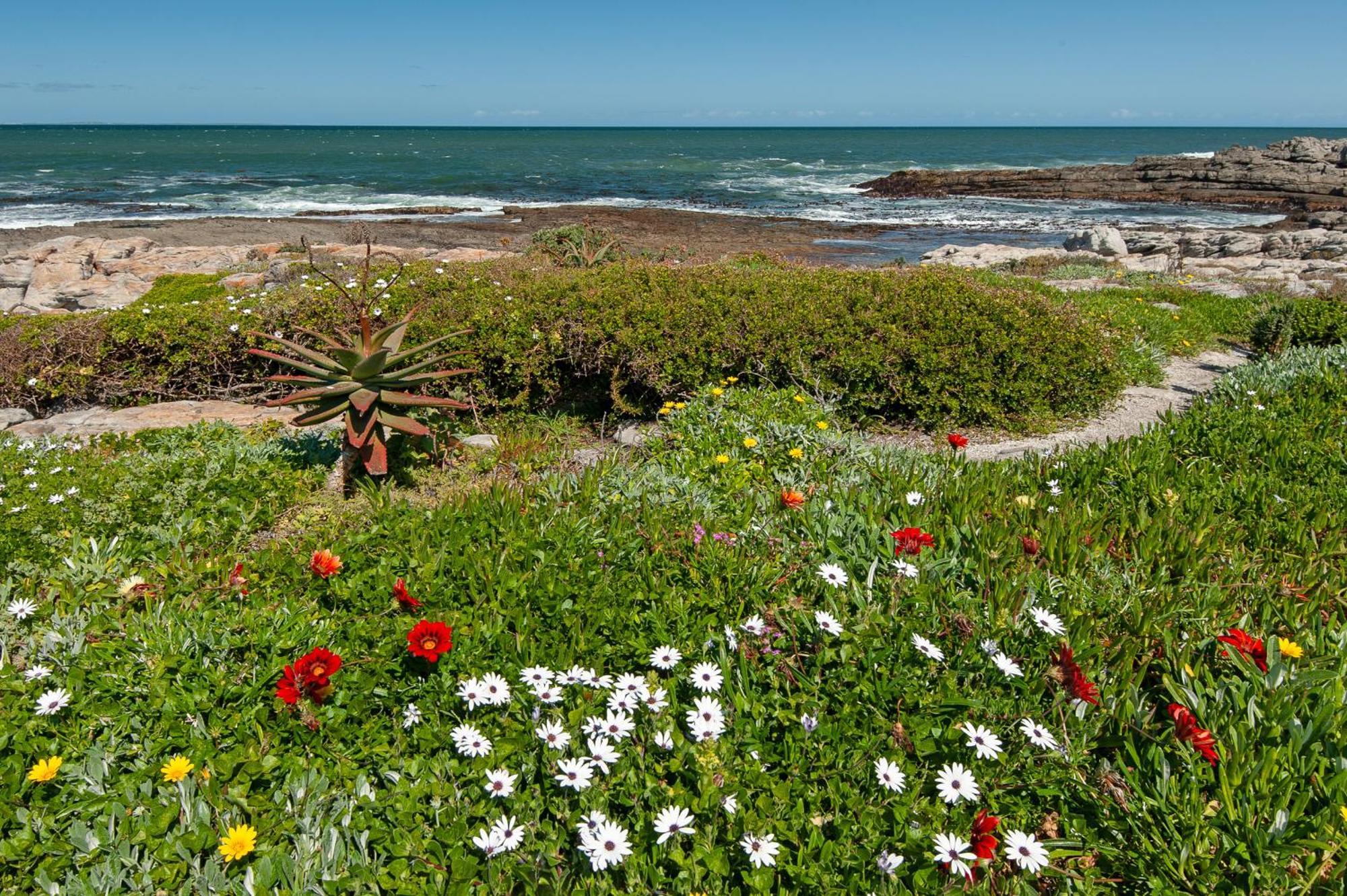 49 Whalerock Apartment Hermanus Luaran gambar
